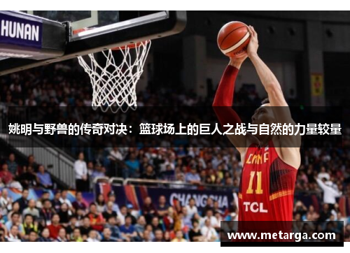 姚明与野兽的传奇对决：篮球场上的巨人之战与自然的力量较量